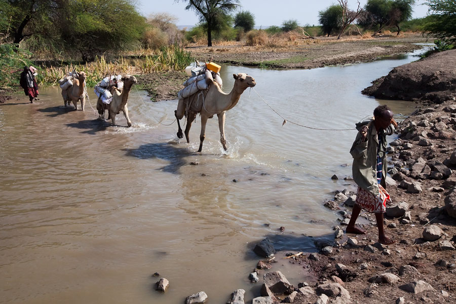  Afar nomads on their way   Ethiopia 